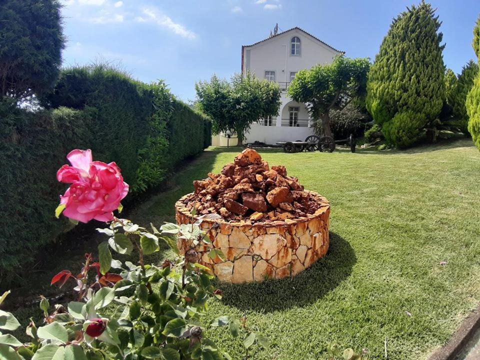 Hotel Quinta Do Viso ミランダ・ド・コルヴォ エクステリア 写真